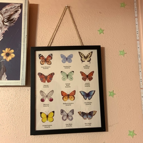 Hobby Lobby Wall Decor Hobby Lobby Butterfly Picture Poshmark